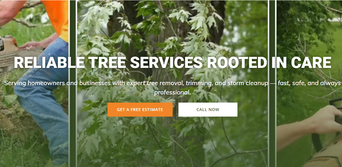 Black Label Branding Portfolio/Conway Tree Solutions